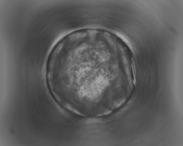 X0000116491430200912292057