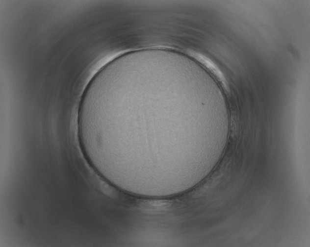 X0000116491431200912292057