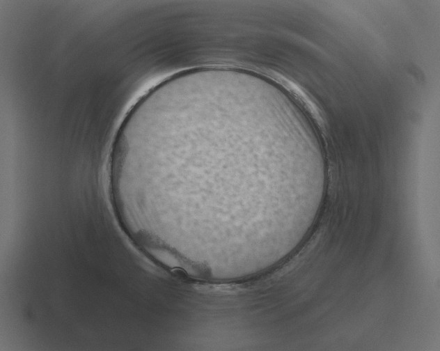 X0000116491432200912292057