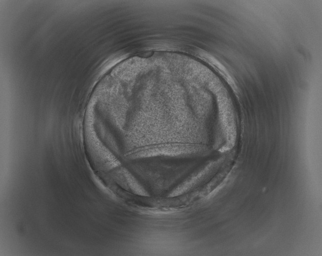 X0000116491433200912292057