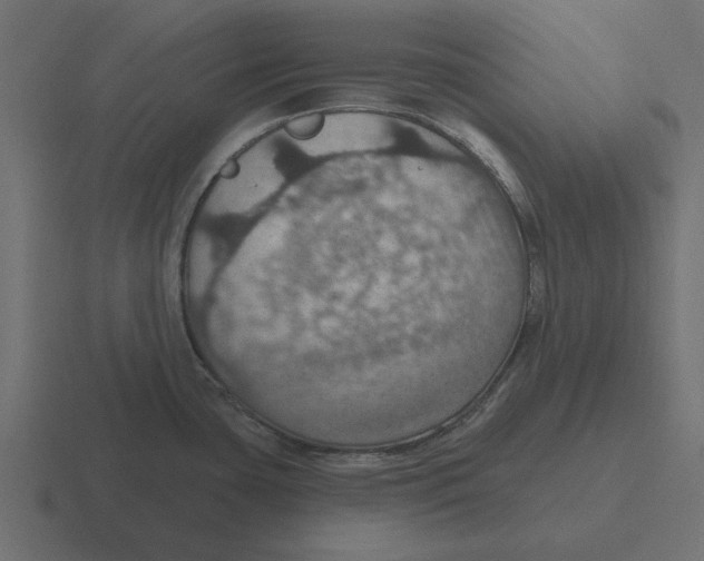 X0000116491435200912292057