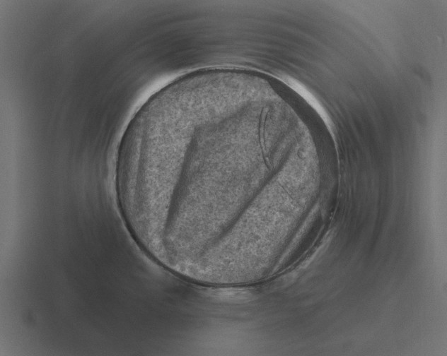 X0000116491437200912292057