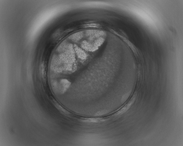 X0000116491438200912292057