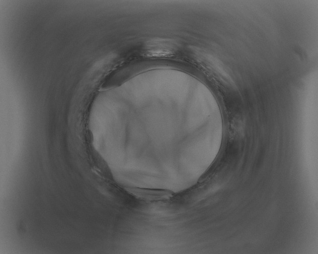 X0000116491441200912292056