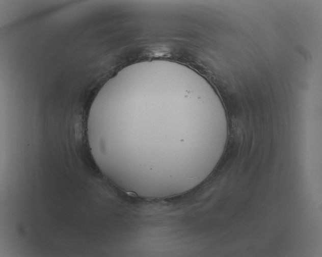 X0000116491442200912292056