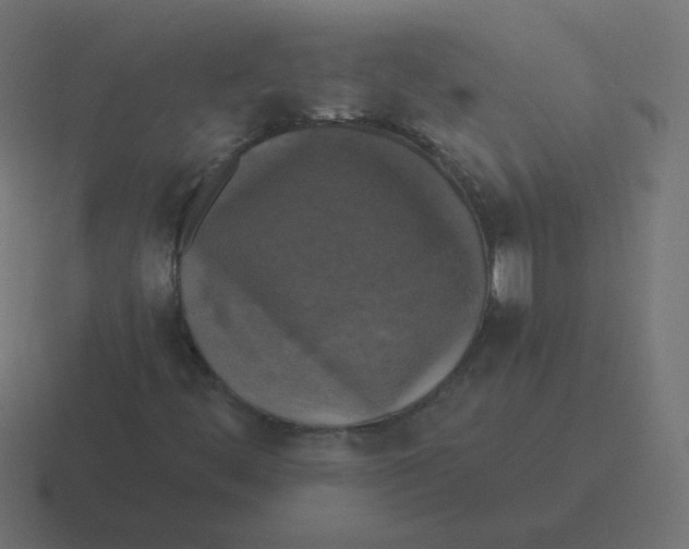 X0000116491444200912292056