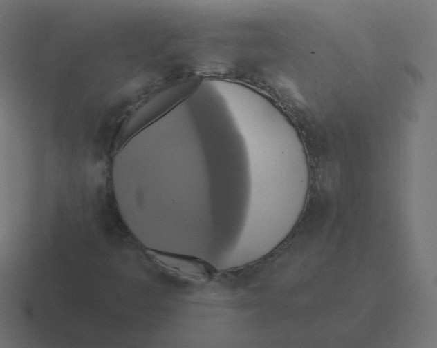 X0000116491445200912292056