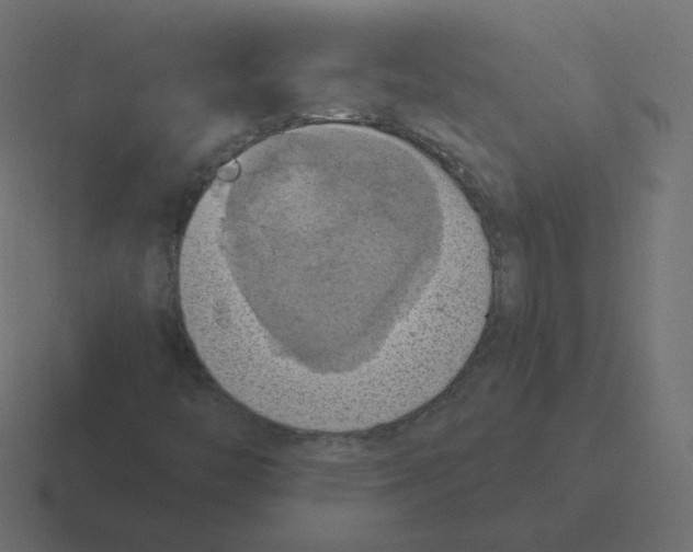 X0000116491446200912292056