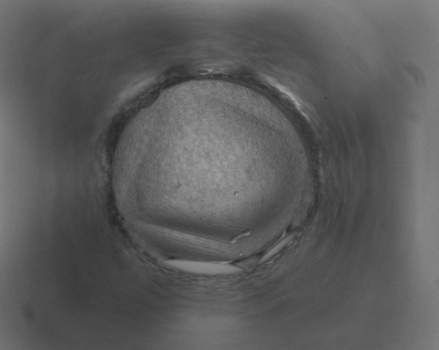 X0000116491447200912292056