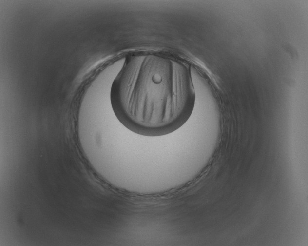 X0000116491448200912292056