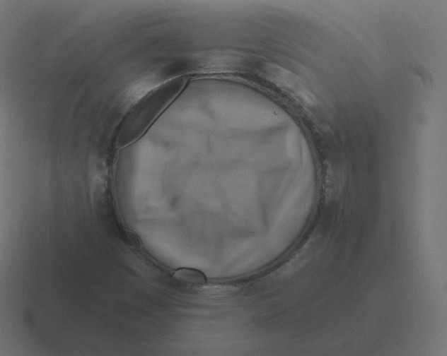 X0000116491449200912292056