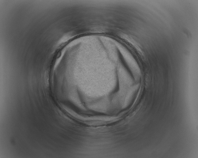 X0000116491451200912292056