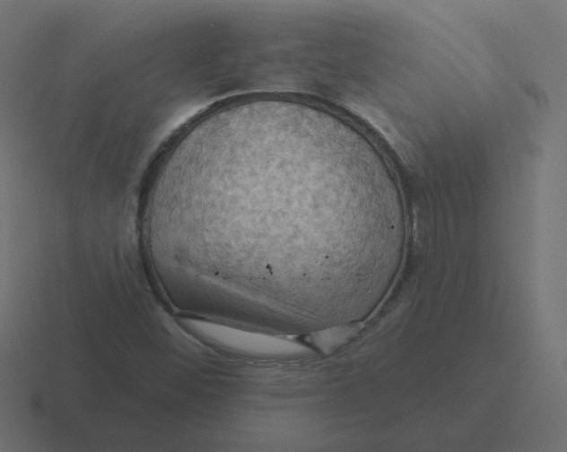 X0000116491452200912292056