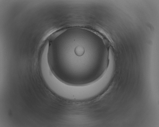 X0000116491453200912292056