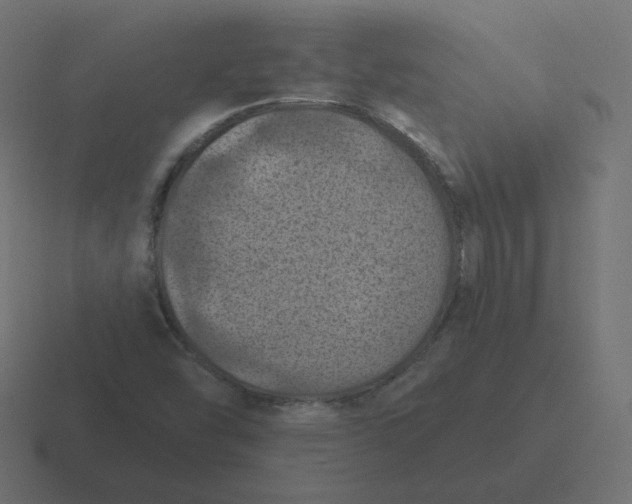 X0000116491454200912292056