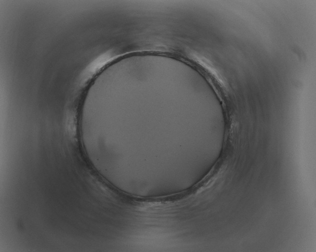 X0000116491455200912292056