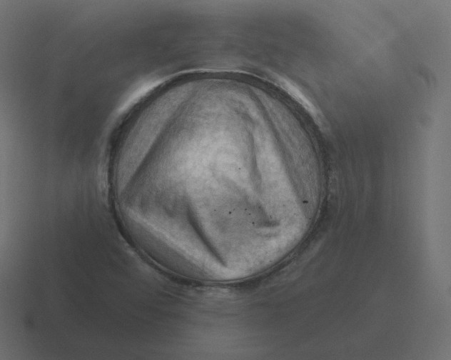 X0000116491456200912292056