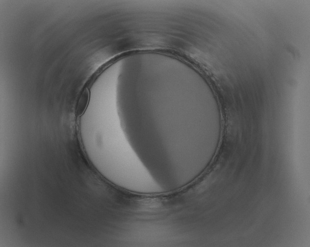 X0000116491457200912292056