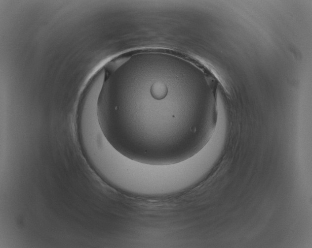 X0000116491460200912292056