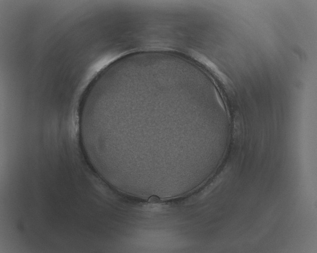 X0000116491461200912292056