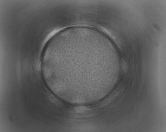 X0000116491462200912292056