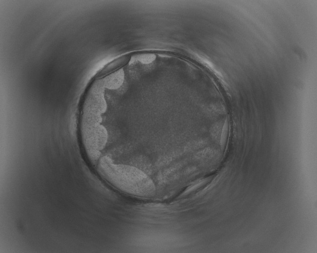 X0000116491463200912292056