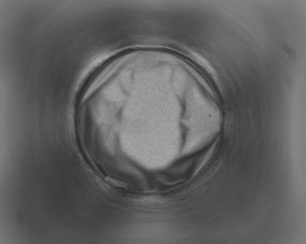 X0000116491464200912292056