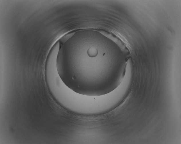 X0000116491465200912292056