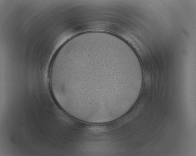 X0000116491466200912292056