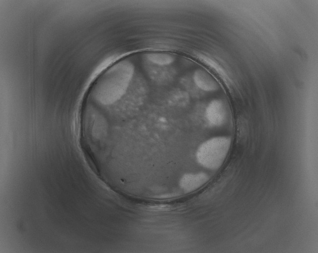 X0000116491467200912292056