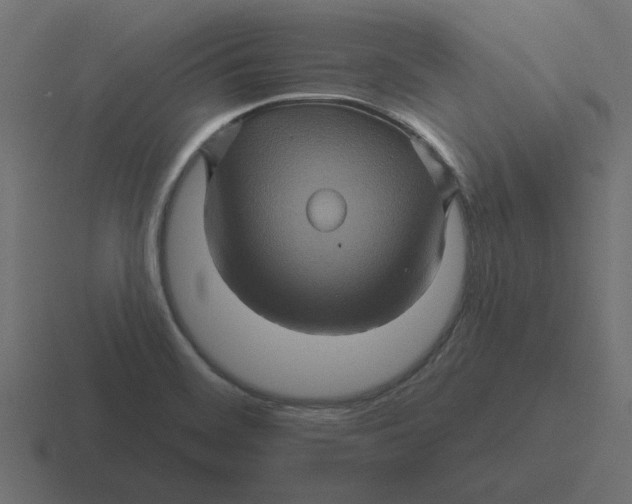 X0000116491468200912292056