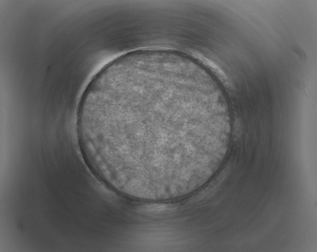 X0000116491470200912292056