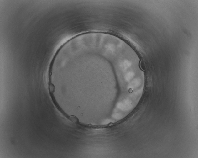 X0000116491471200912292056