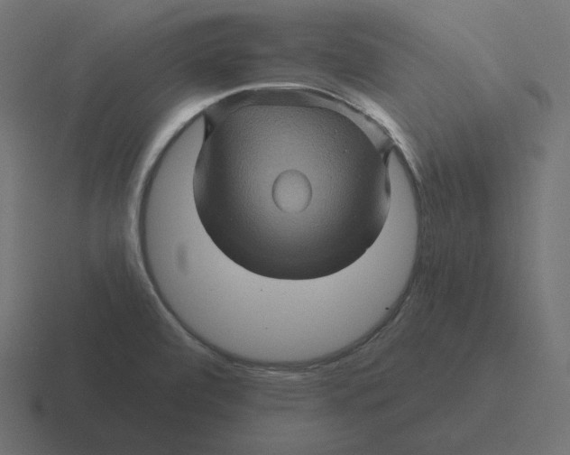 X0000116491472200912292056