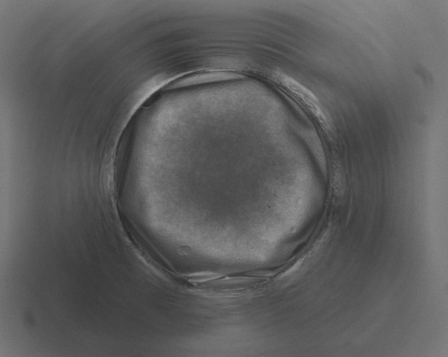 X0000116491473200912292056