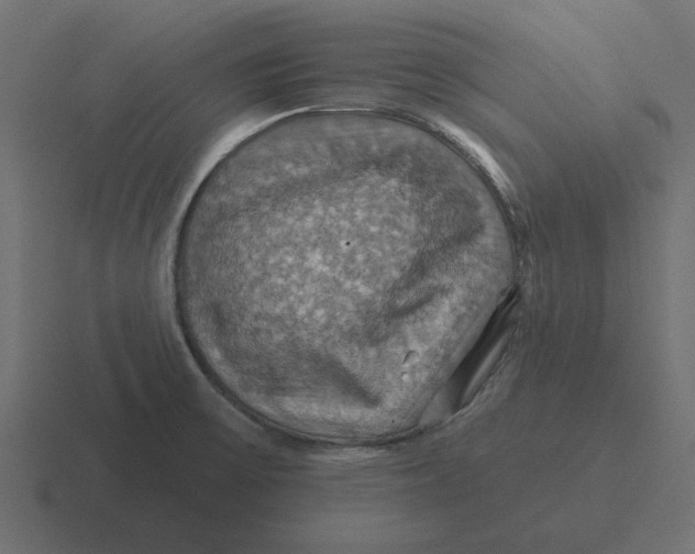 X0000116491475200912292056