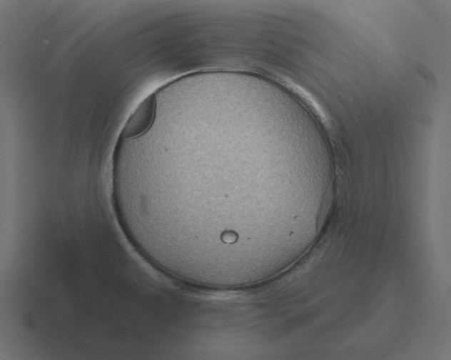 X0000116491479200912292056