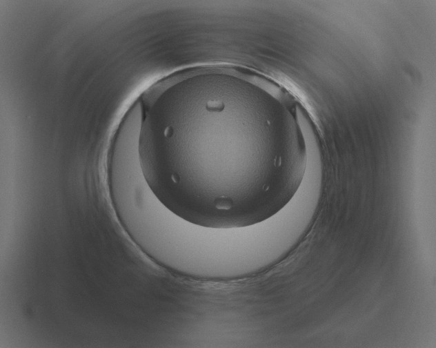 X0000116491480200912292056