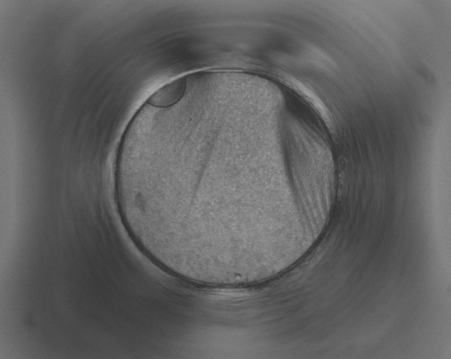 X0000116491483200912292056