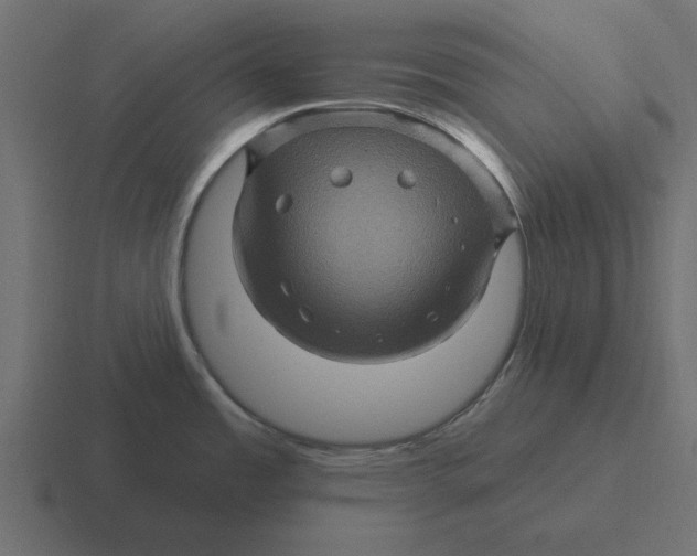 X0000116491485200912292056