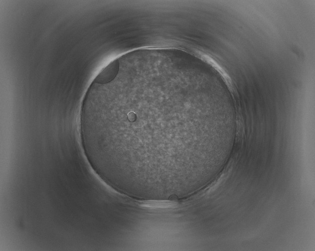 X0000116491487200912292056