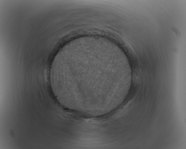 X0000116491490200912292055