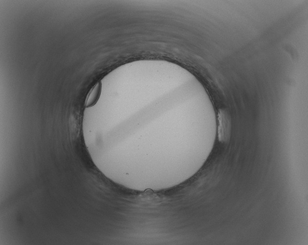 X0000116491491200912292055