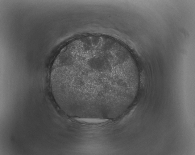 X0000116491494200912292055