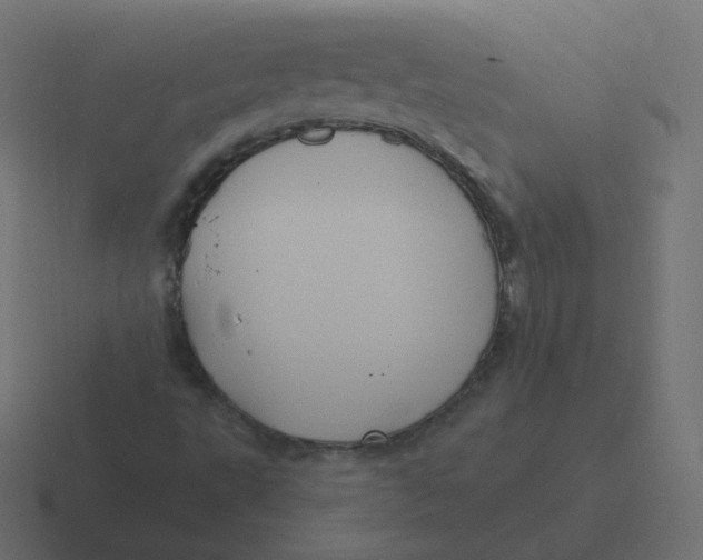 X0000116491495200912292055