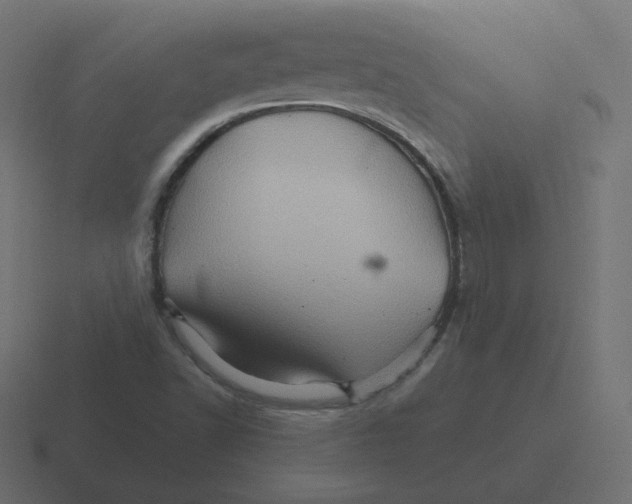 X0000116491502200912292055