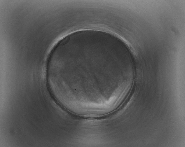 X0000116491506200912292055