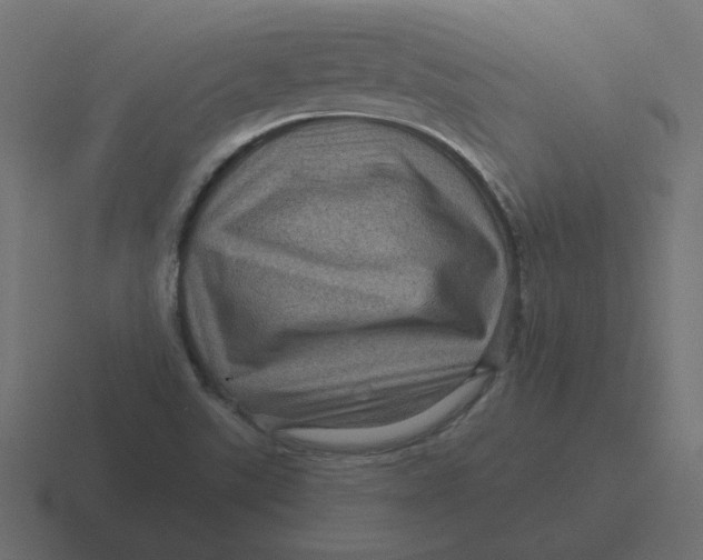 X0000116491507200912292055