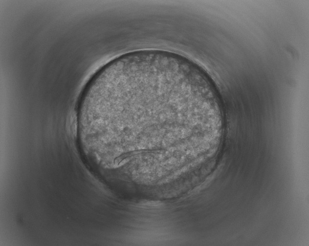 X0000116491509200912292055