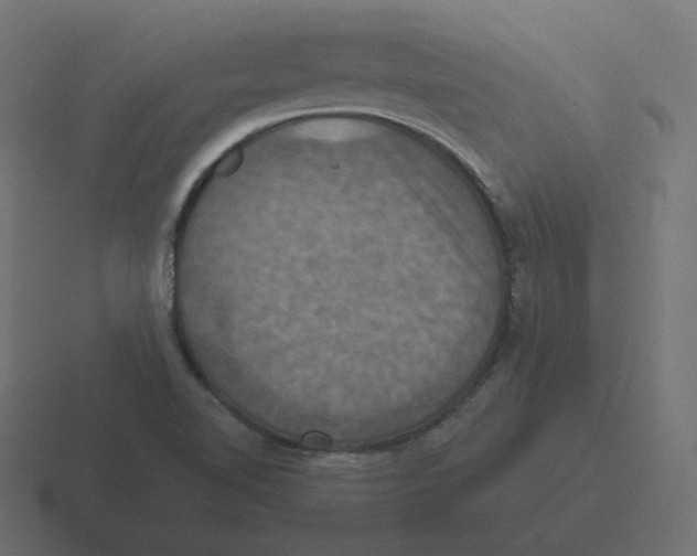 X0000116491510200912292055